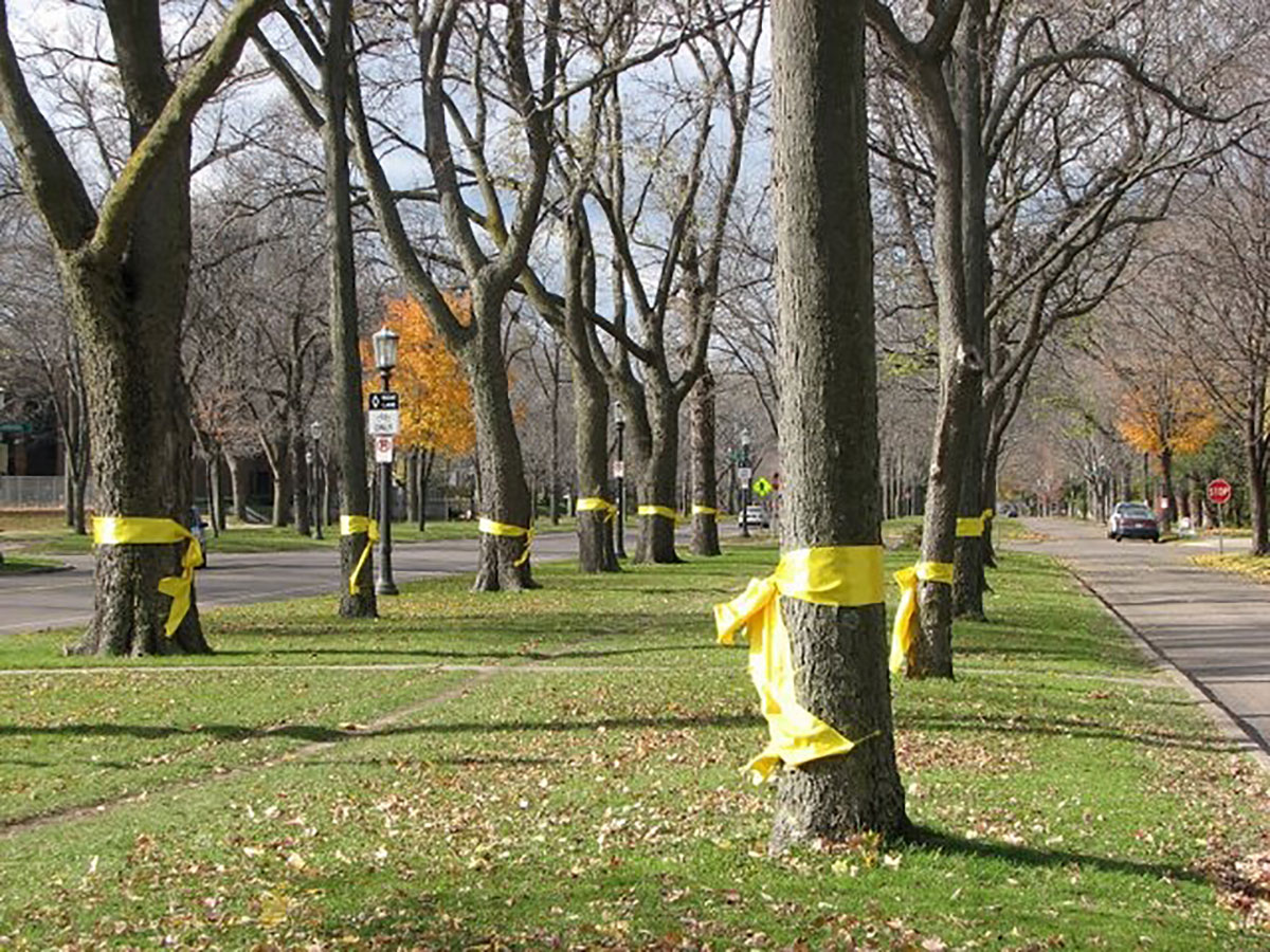 The Faded Yellow Ribbon